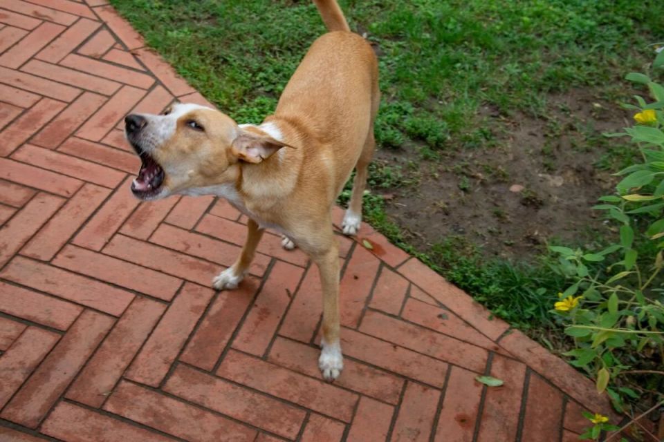 �������� �����: ������, ������� �� ���������� �����