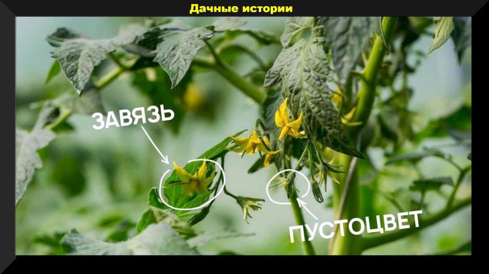 ������ � ����� �������: ��� �������� � ��������� ������ ���� � ������ ������