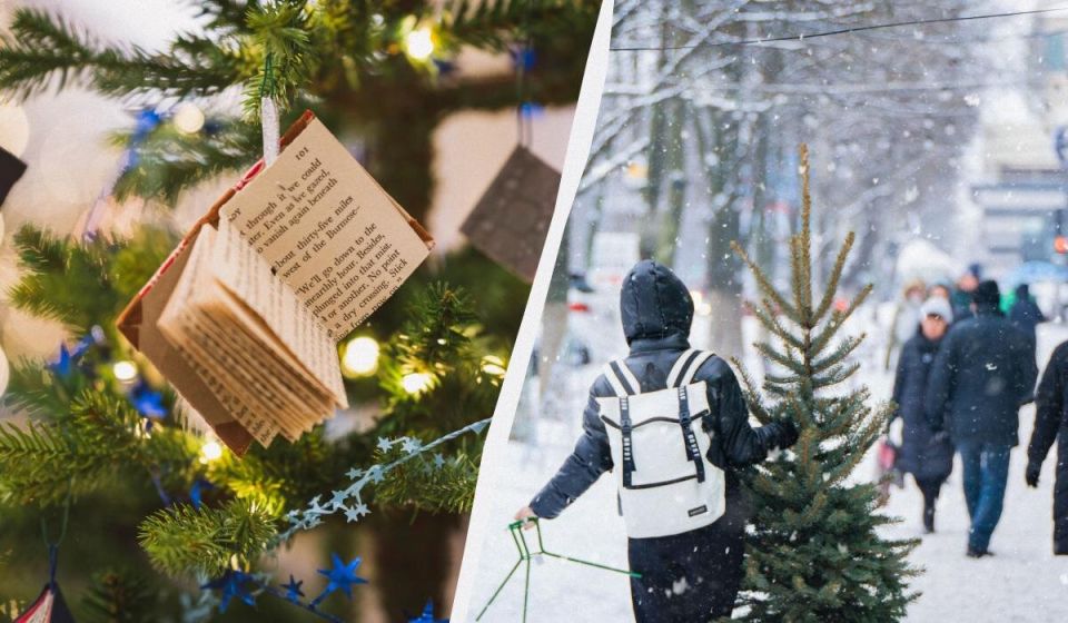 ����� ������� ����: ������� � ������ ��� ������ �������