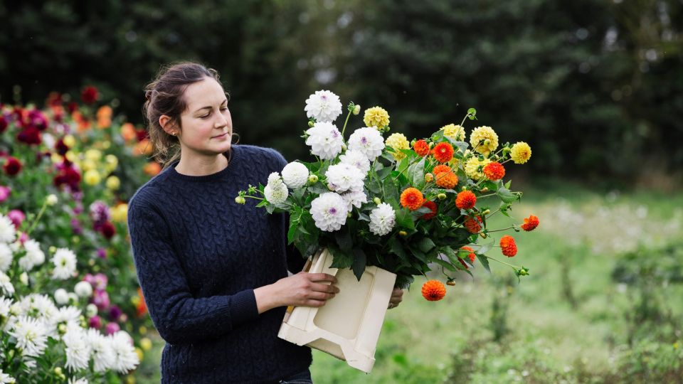 �������� ��� �������: ��� ����� ����������� ������ ����� �������� ����� � �����