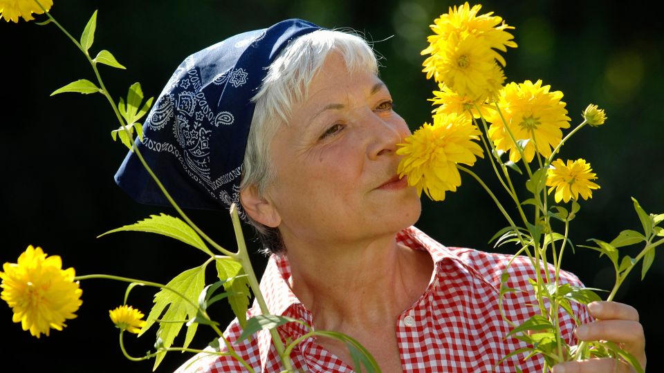 ������� ������� ��� ��������� ����� ��� ������: ������ ������������ ������� ������