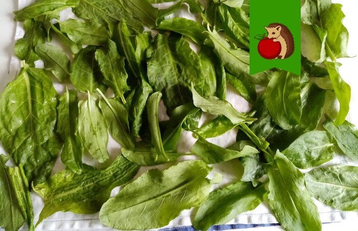 ��� ���������� ����������� ������, ������� ������ ���������