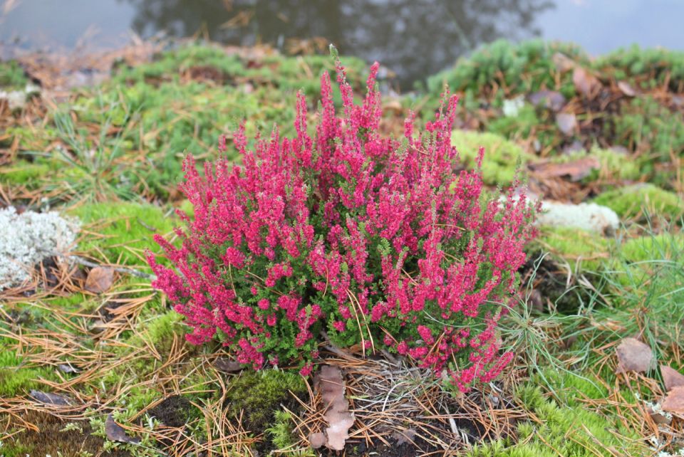 ��� ��������� �� ���������: 10 �������� ��� ��������� �����