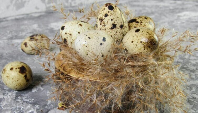 ������ ����������� ���� ����� ����� ��������� ������� ��� ��������?