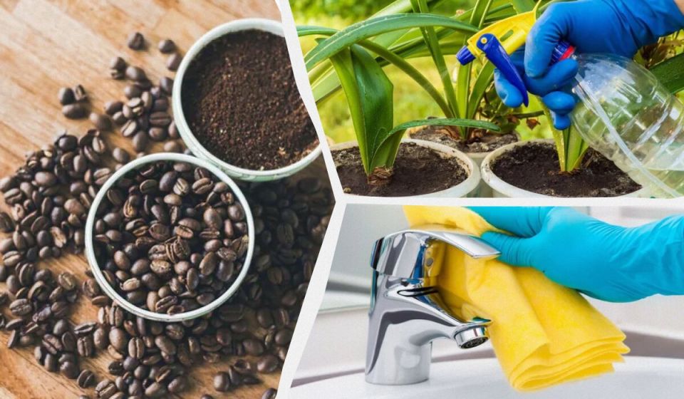 �� ������������ �������� ����: 7 �������� ���������� ��� ���� � �������