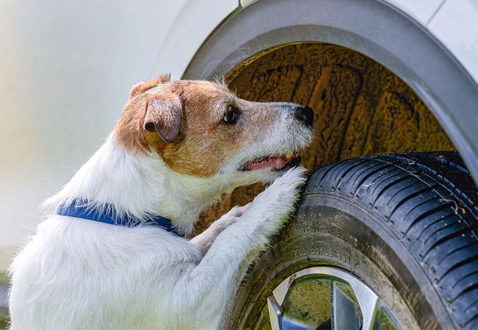 ��� �������� ����� � ����� �� ����������� �� ��������� �����