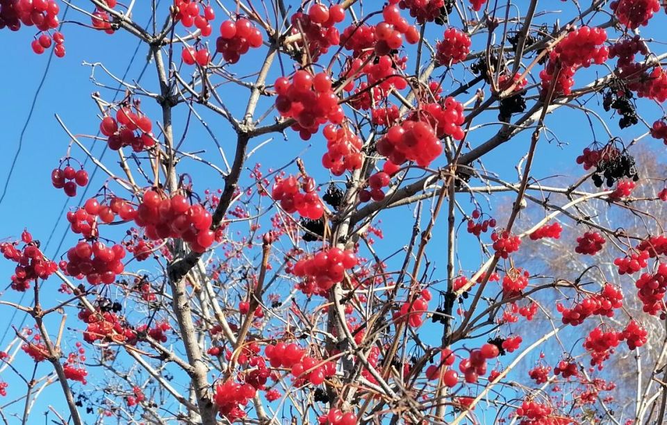 ������: ������� ���� � ��������� ����������