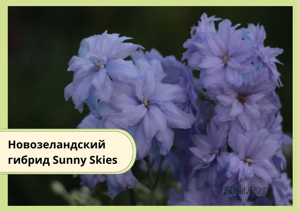 ���� ����� �����������: ��� �������� ������ �� ��������� �������������� ��������