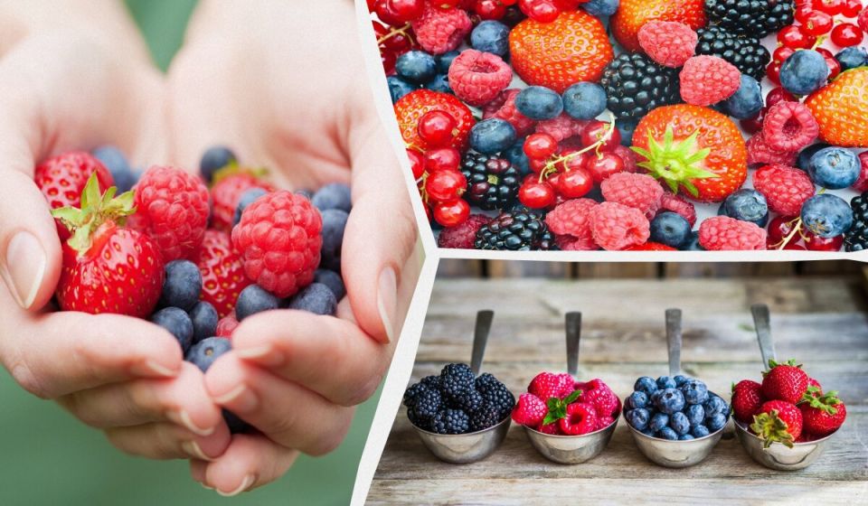 �������� � ������ �����: ����� �������� ����� ��� ������ ��������