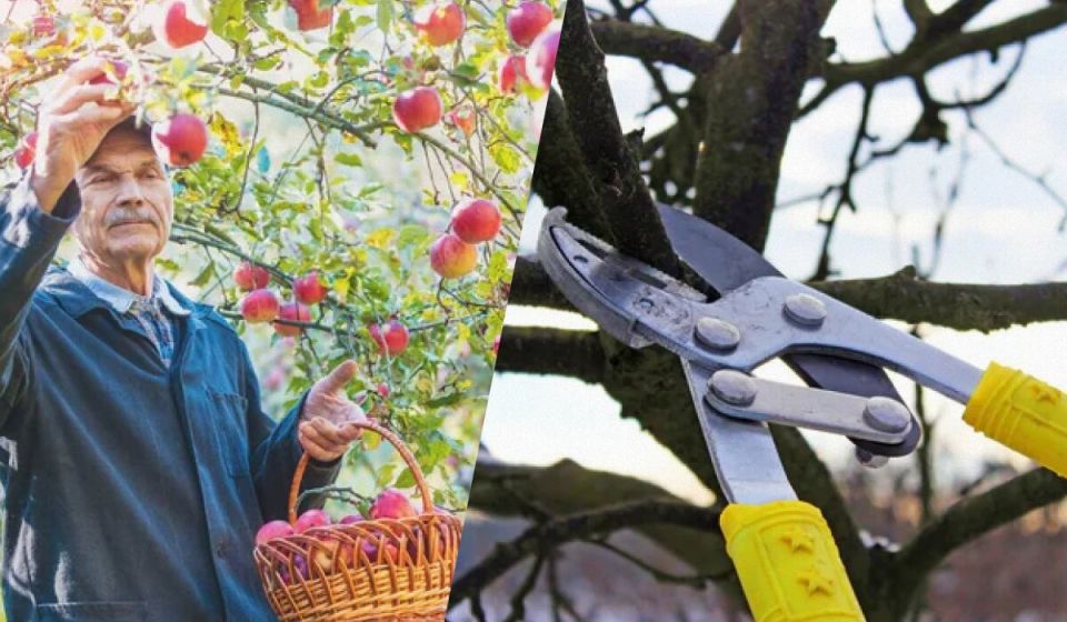 ������� �����: ������� � ������� � ���� � ����������