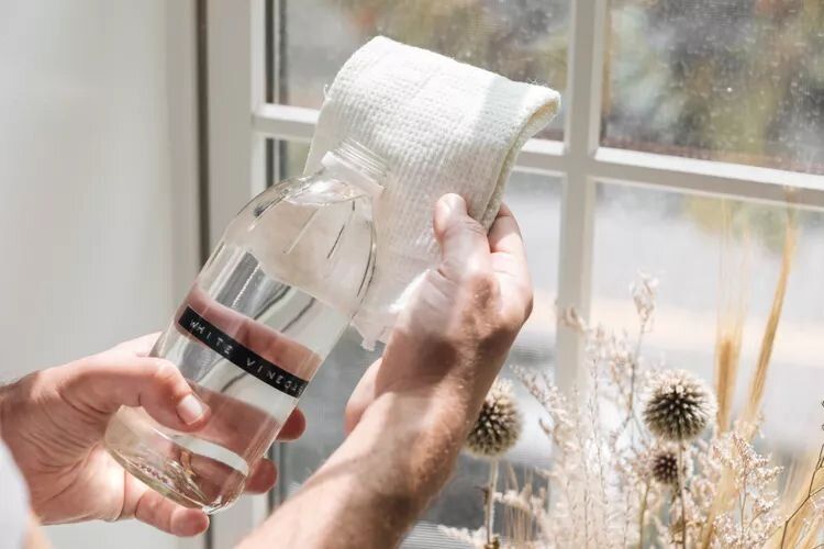 15 ����� � ����: ������� �������� ������� � ����