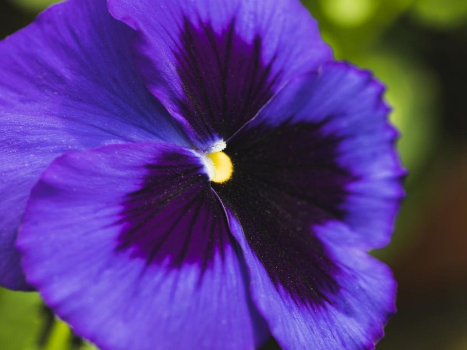 ��� ������� ������ �����: ������� ������ ����������� ������