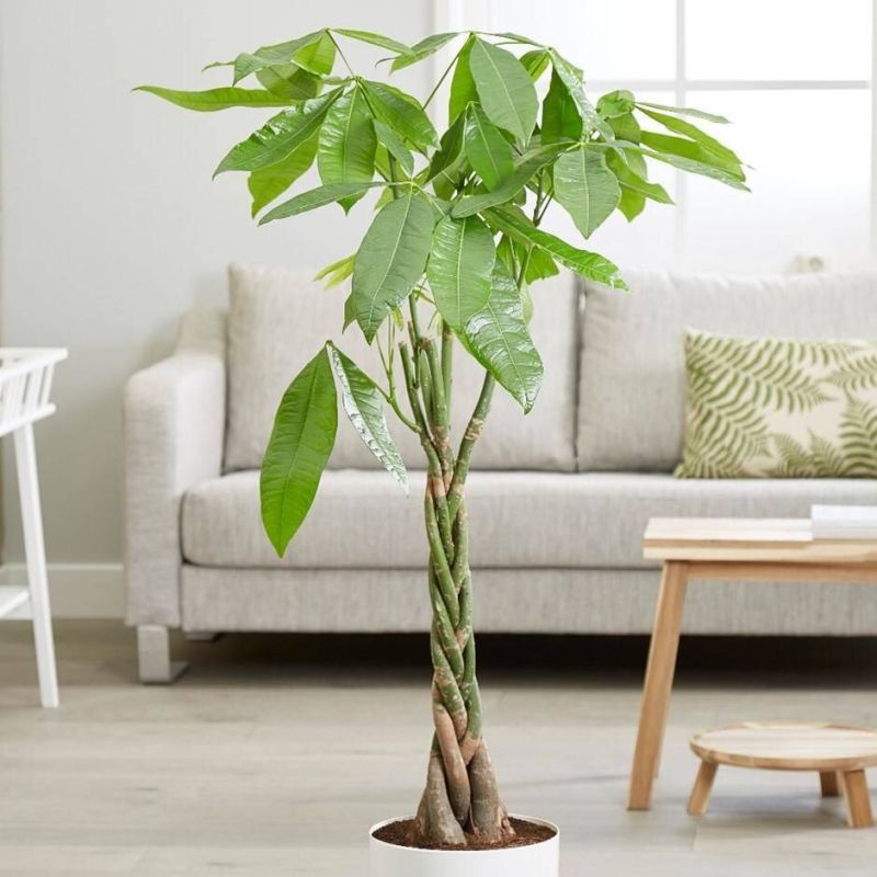 �������� ������: ��� ��������� �������� �������� ����� � �����������