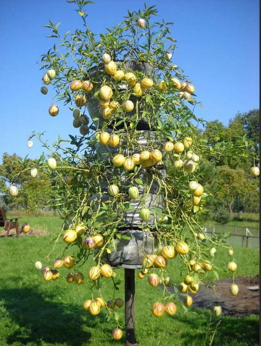 ������: ��������, ������� ����� ��������� ���� � ������� ������ ������