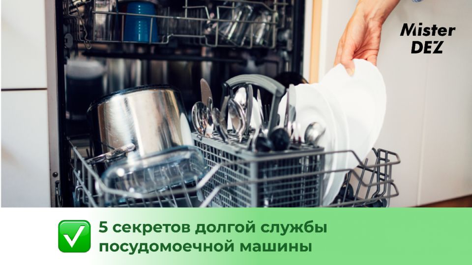 ��� �������� ����� ����� ������������� ������: ������������ ������