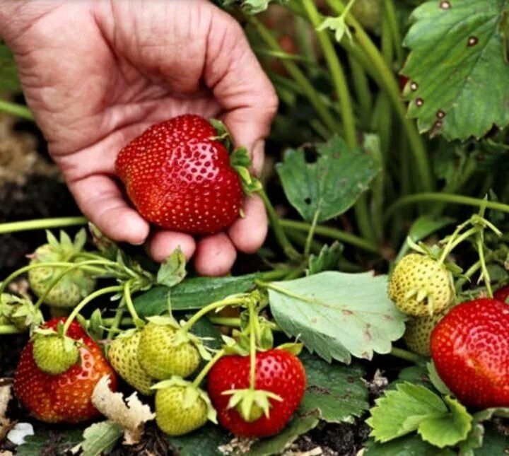 ���� �� ������������ ���������: ������� ����� ������� ������