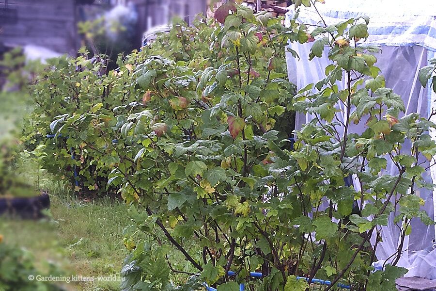 ���������� ��������� � ����: 7 �������� �����, ����� ������������� ������� ������