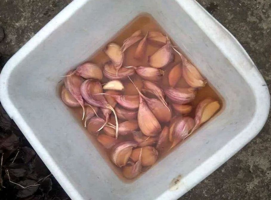 ��� ��������� ��������������� ���������� ��������: ������ �� ���������� ������� � ����