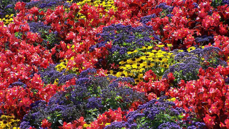 ������� �������� ���������� �������� ����� ����