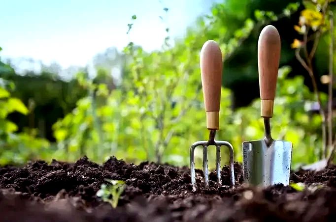 ��������, �� �������������� ��������: ���� ������������� ������