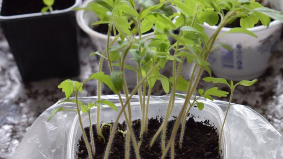 ��� ������� � ����� ��������� ������� ������� ������� ��������