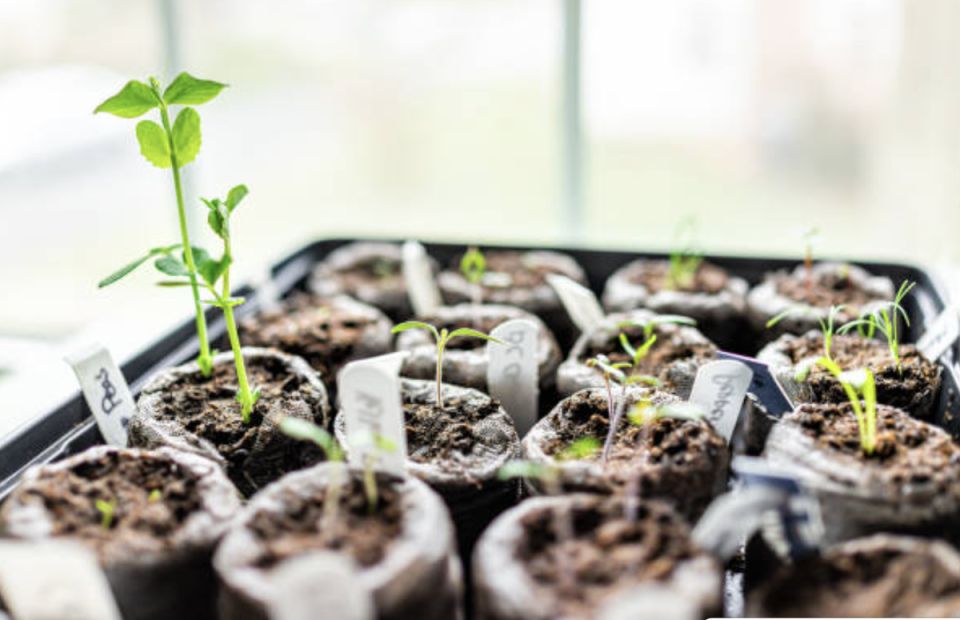 ���� ������� �� 2026 ���: ����� � ��� ������ ����� � �����