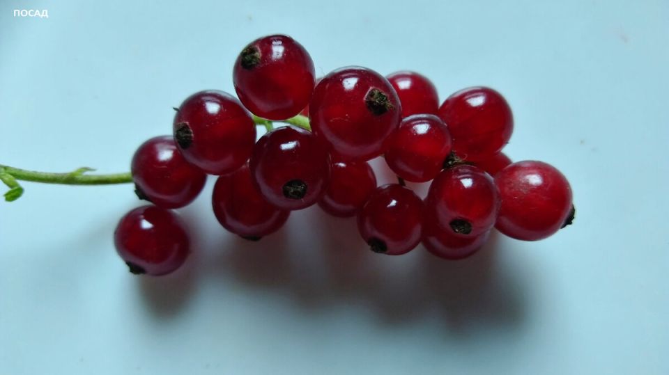 ��� ������ � ���������� ������������� ������� ����� ��� �������� � ������